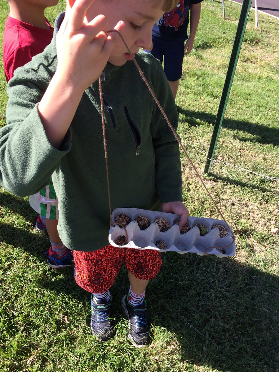 Our bird feeders are now hanging around our school yard! #HC1G_RP #conceptsinaction #servicelearning