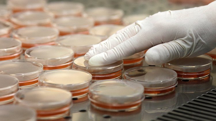 CuatroFWeb's tweet photo. #Internacionales 
¿Plaga inminente?: El aumento de las 'superbacterias' indias puede "impactar en todo el mundo"
https://t.co/WWkreu17xA https://t.co/SD4g73BOJc