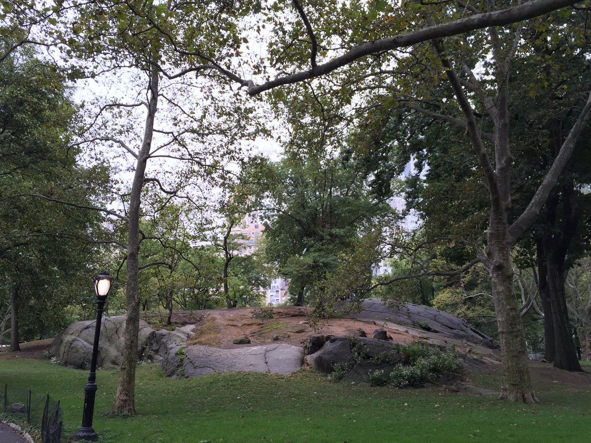 MakerState's tweet photo. The great outdoors.
#MakerState #handson fun every single day #STEM #NYC
https://t.co/1E9uvfRmHi https://t.co/PlULR0XdpH