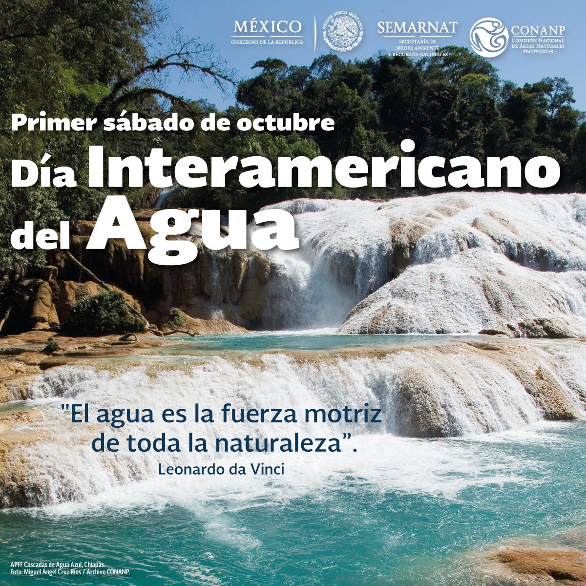 CONANP_mx's tweet image. #FelizSábado
#Efemérides. El primer sábado de octubre celebramos el #DíaInteramericanoDelAgua 💧 💦 🌊