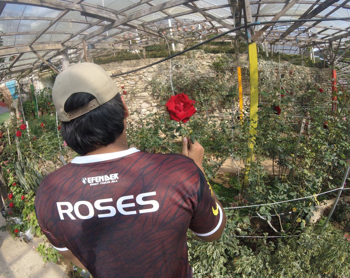 iqblzbr's tweet photo. #ROSESRC https://t.co/qFFDaNlyEk