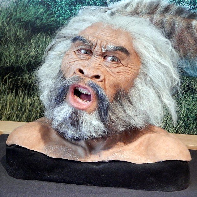 paleoanthropology-on-twitter-dmanisi-skull-5-reconstruction-what