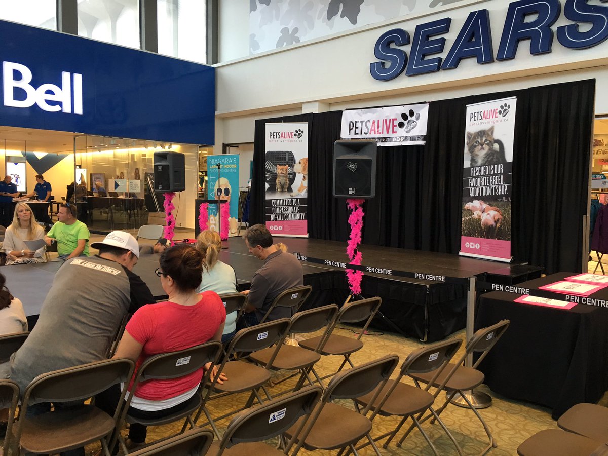 Picking which dog is the cutest is going to be so hard! <a href="/Petsaliveniag/">Pets Alive Niagara</a>