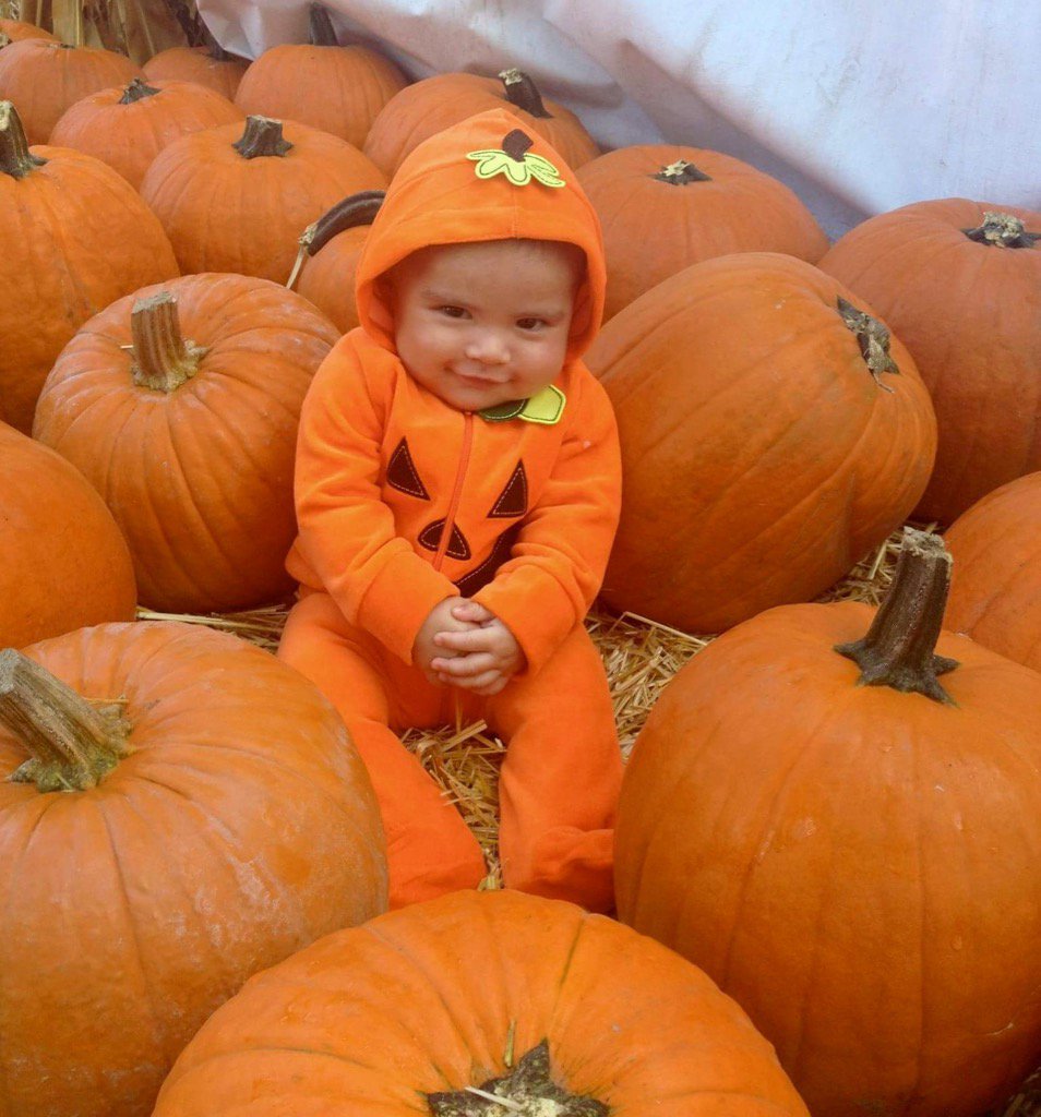 StephAnderson02's tweet photo. Found this gem of Dillon from 2013. Hello, October! 🍂🎃 👻🍁🕸 https://t.co/MuQXsIshjU