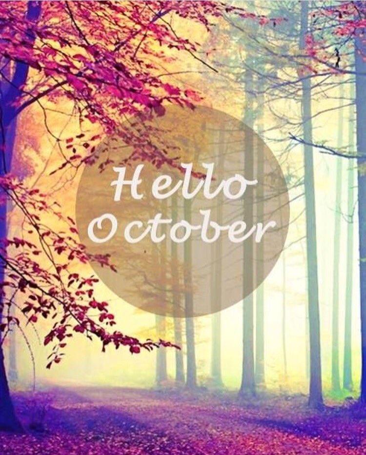 Dance2Elevate's tweet photo. Happy October everyone! Enjoy the cool air and everything pumpkin 🍂🎃 #PumpkinSpiceEverything #October #ctmdancecomp #BringOnCTM2017 https://t.co/qzqozqAumP