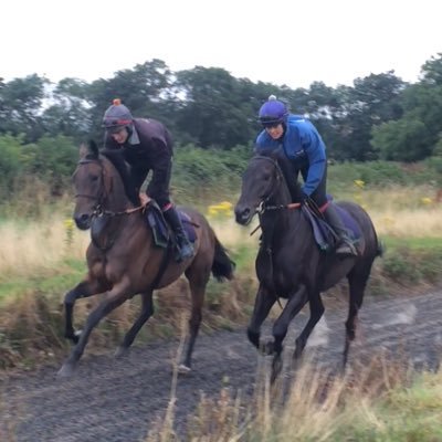 This page will now be run to regularly update you on declarations, stable news and much more at #LauraMorganRacing 

Rt's appreciated.