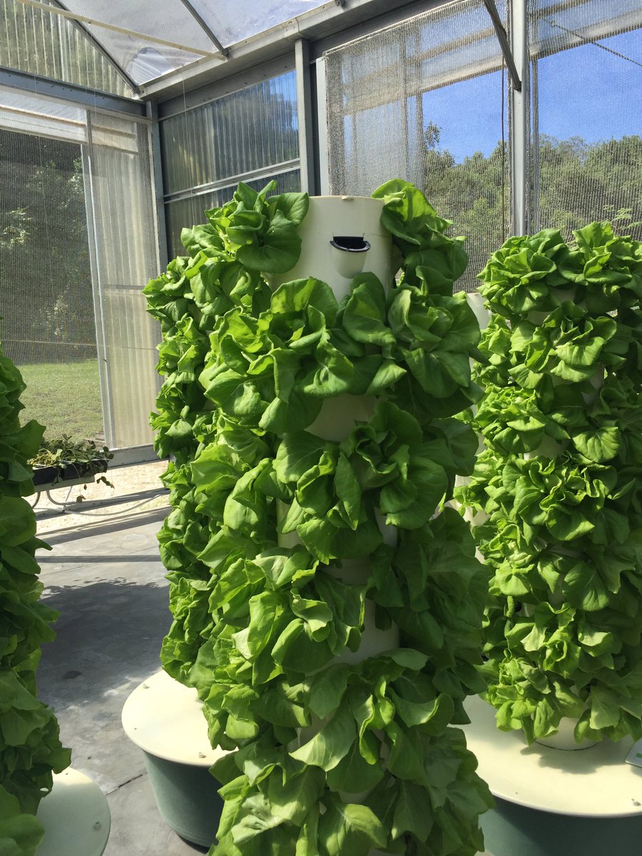 MMartoral's tweet photo. #friendshipbobcats- all in 1 science lesson for Ss- Tower Garden Growing System developed by NASA and beyond organic https://t.co/OqlcsmoYfR