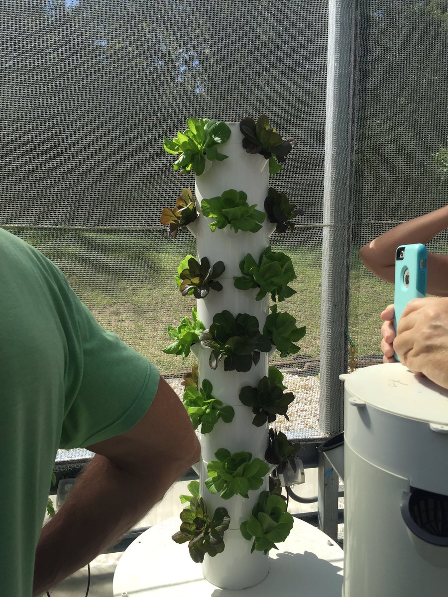 MMartoral's tweet photo. #friendshipbobcats- all in 1 science lesson for Ss- Tower Garden Growing System developed by NASA and beyond organic https://t.co/OqlcsmoYfR