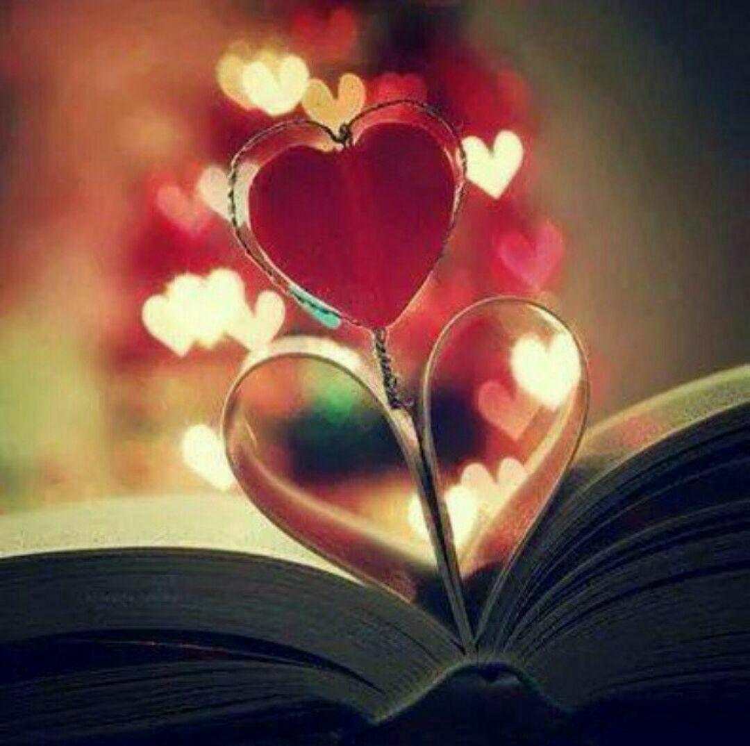 Bonne nuit mon amour картинки