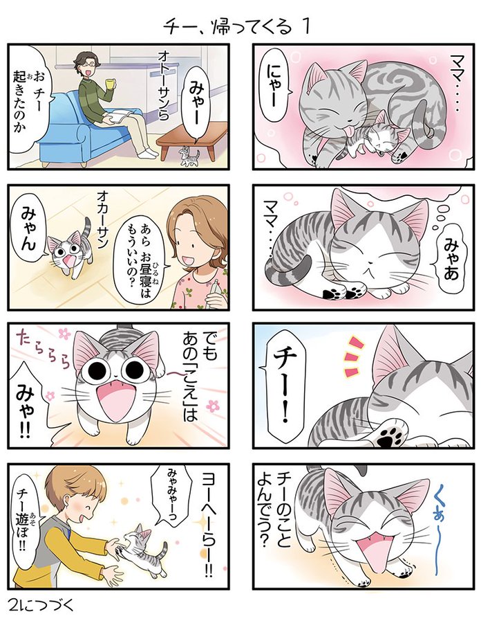 いたずら子猫のチーが復活 今日のこねこのチー Twitterで連載スタート ほんのひきだし
