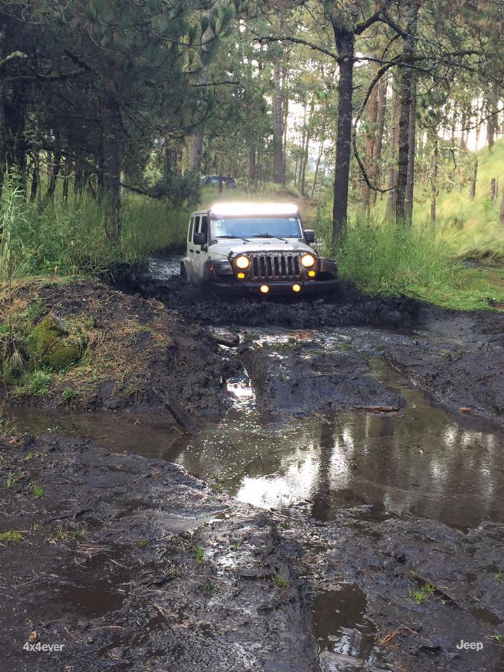 JeepMx's tweet photo. Como niños, siempre. ©Ricardo Acevedo. #ADNJeep https://t.co/nlRS5D8UzN