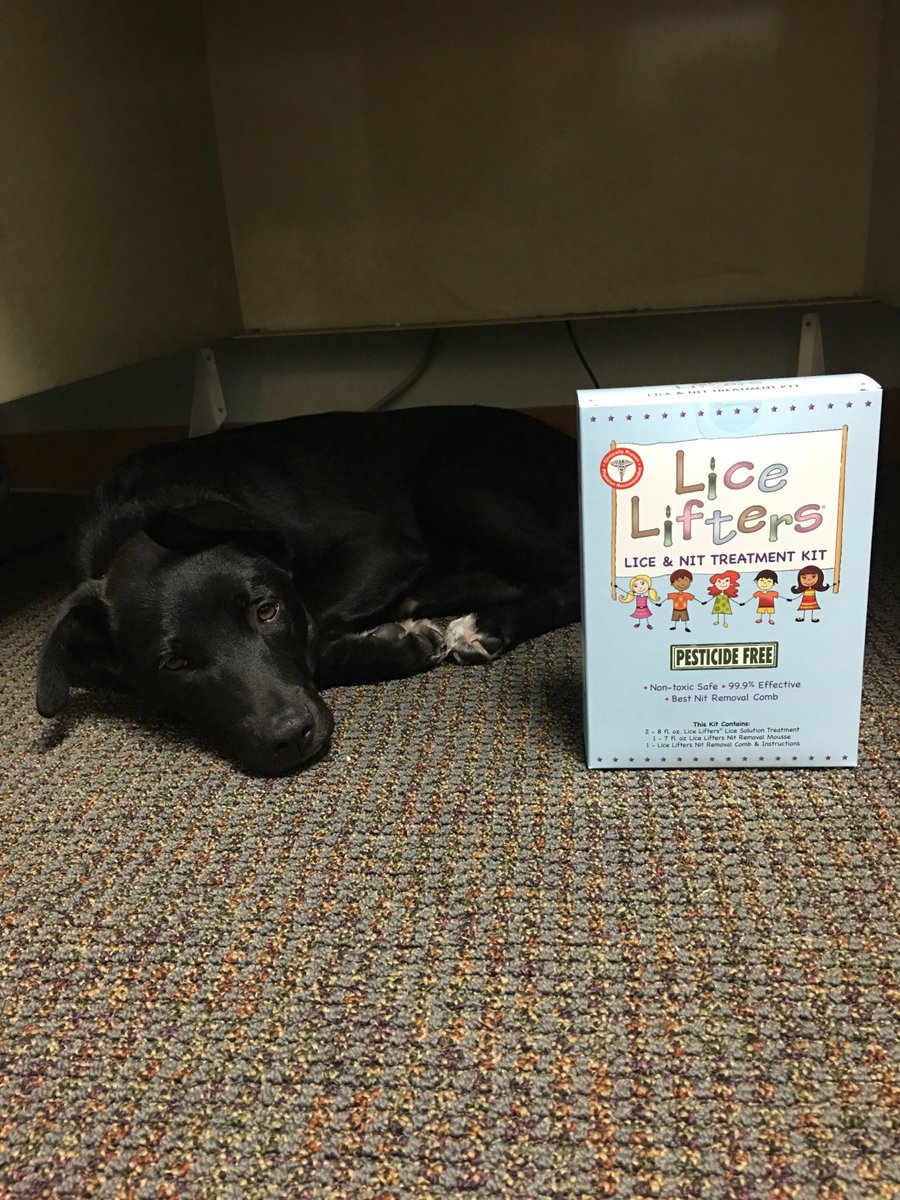 LiceLiftersCF's tweet photo. This Lice Lifters employee is exhausted! #LiceLifters #WeAreGrowing #HeadChecks https://t.co/ntVLBbjVIn