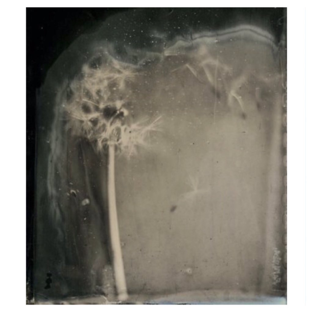 #Photography by #NicolasLaborie. @gxgallery has his work on display at the #AffordableArtFair.

#artlover #artfair
