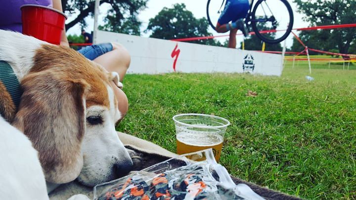 beagleracing's tweet photo. Cross is hard, dad. #bsscx #txcx #sixshootercx https://t.co/JhAVsWgWld