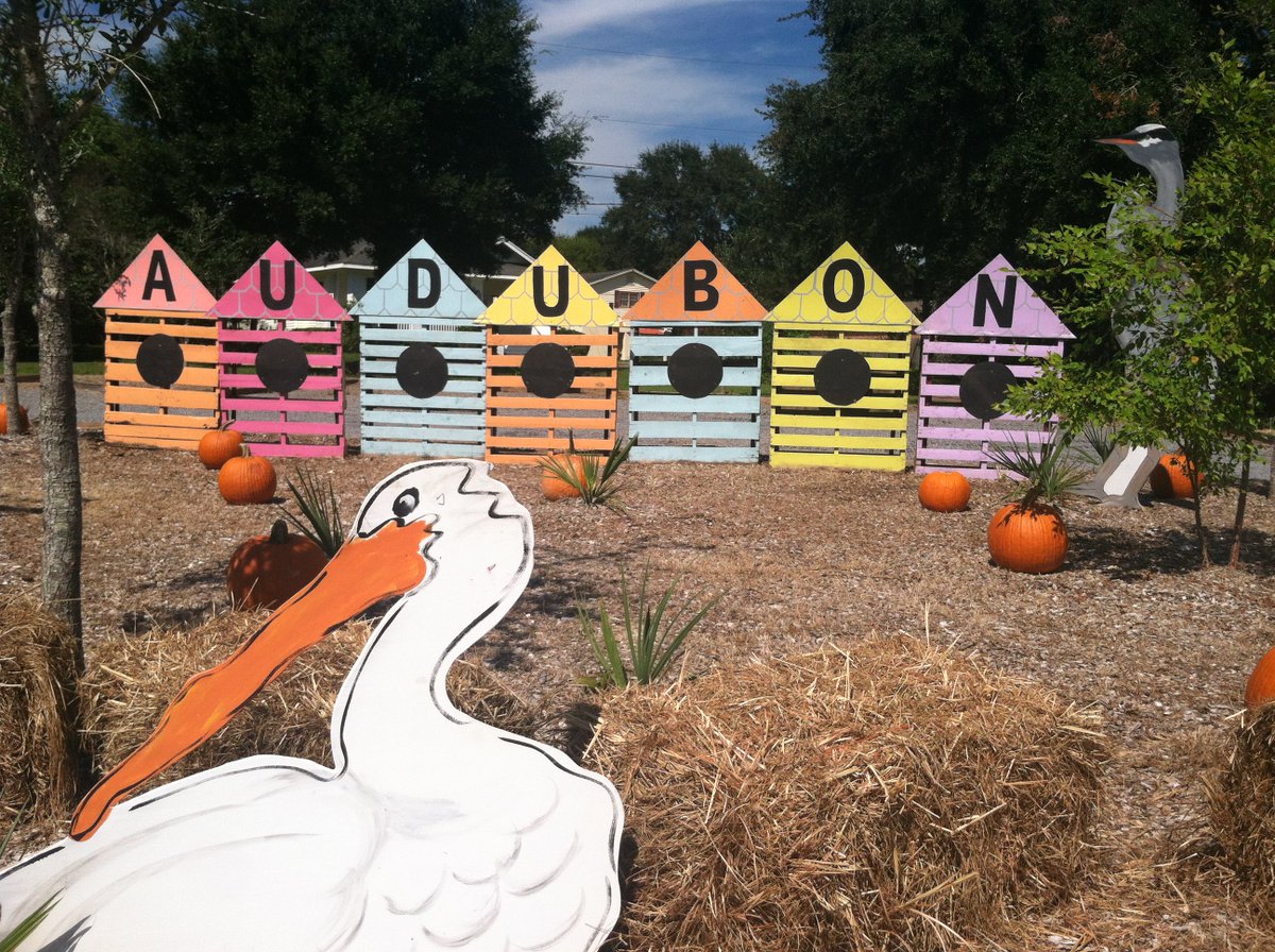 PRACAudubonMS's tweet photo. Fall de Rah, Cruisin' the Coast, and gorgeous weather- seems like the perfect time to visit the Center! https://t.co/oSBh0RxgI7