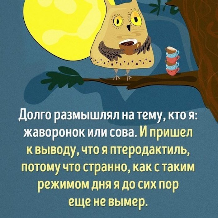 Смешные картинки жаворонков, бланки