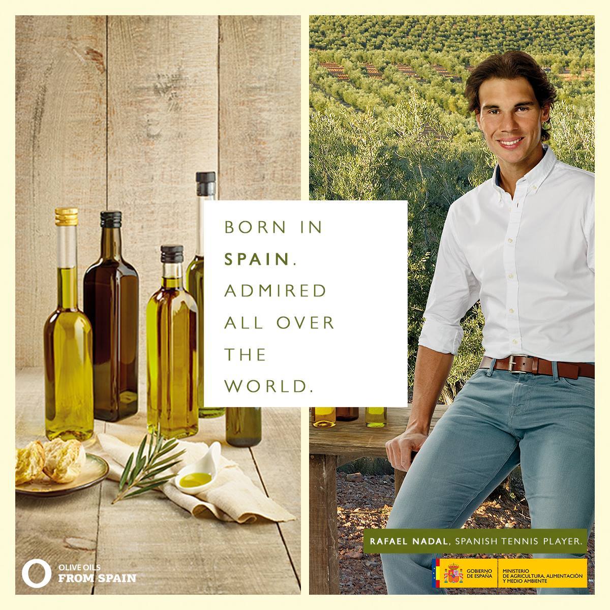 Olive Oils Spain (OliveOils_Spain) Twitter