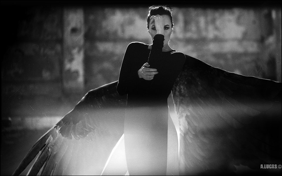 BlackSwan11550's tweet photo. #ShadowWoman @Elsie_geselsie https://t.co/IDPQUwyUYZ