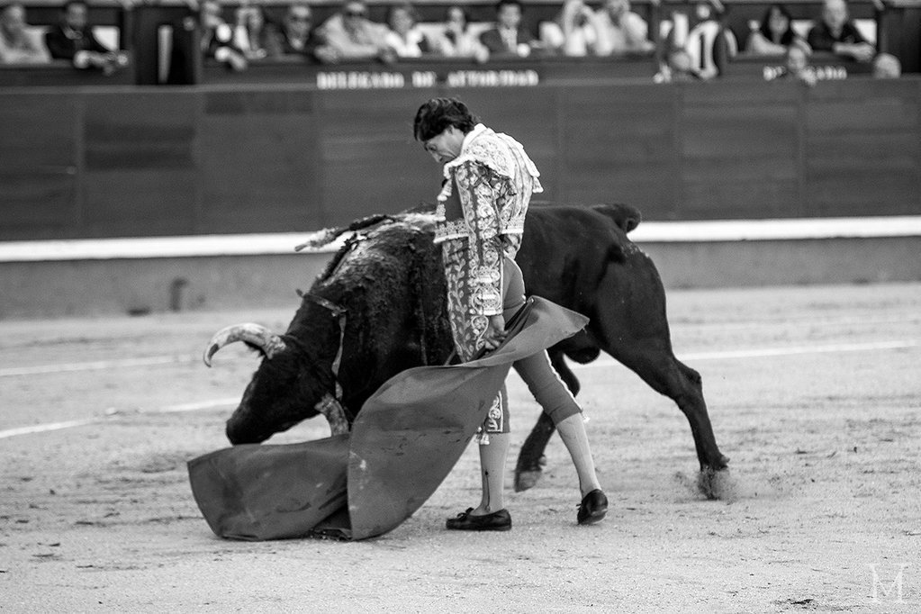 Mil veces que naciera, mil veces sería torero. Doy gracias Dios por vivir tardes como la de hoy en Madrid.