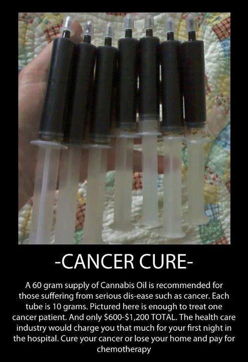 LegalizeWeeedUK's tweet photo. #Weed #CancerCure https://t.co/n97QuIcuhT