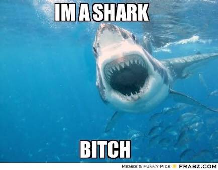 gahayde's tweet photo. Yes I am! #sh2comunicacion https://t.co/XLEf7kejit
