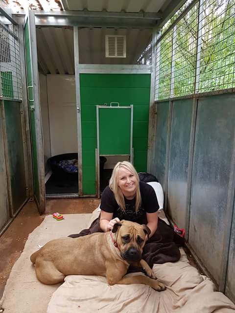 StTrumper's tweet image. Just over an hour left for Cheryl doing the Hilbrae sit in for thw dogs rescue please donate til midnight if you can