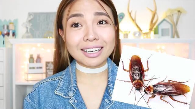 Michelle Dy on Twitter: Michelle Dy on Twitter: