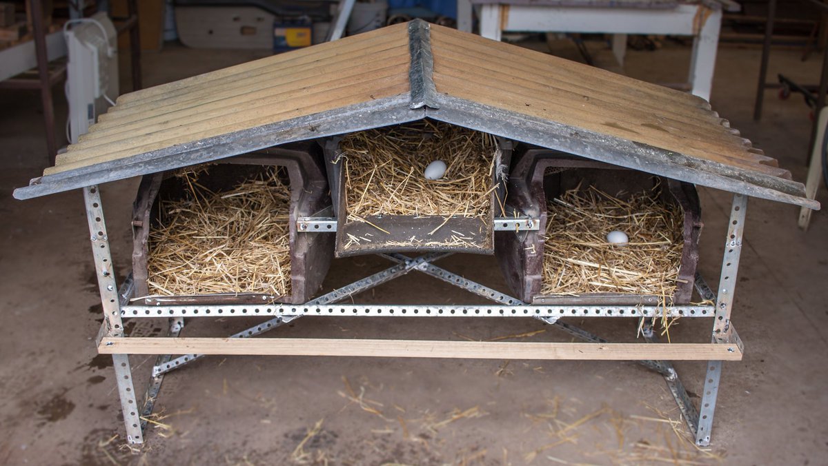 srossj's tweet image. Have I shown you the egg laying boxes I made out of all recycled materials? #egg #layingbox #chickens #chooks #recycled #reuse