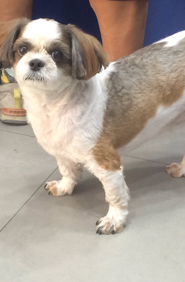 Good Morning 🌲🍃🌳🌹😊
<a href="/HeidiStea/">Heidi 🇨🇦🇨🇦</a>