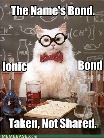 personalabco's tweet photo. Taken, not Shared! #iconicbond #Profcat https://t.co/EtxaJ4JT3t