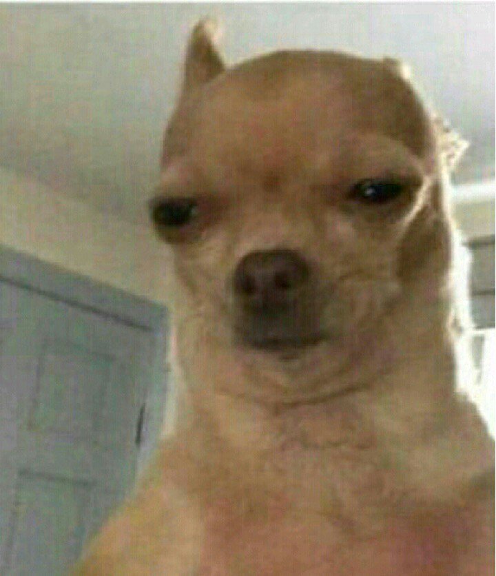 thetechmaster's tweet photo. The face I'm making when ppl hit me up asking for presales for #TXPandemonium5 at the last minute. https://t.co/P3ZGqCdSsx