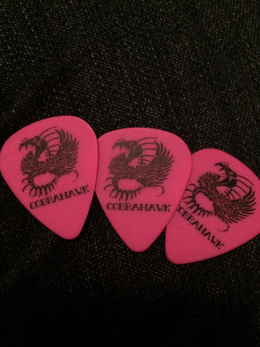 cobrahawkband's tweet photo. Big shout out to @InTuneGP for making these awesome picks for us! #intunegp #cobrahawk https://t.co/oi7LnNSaKk