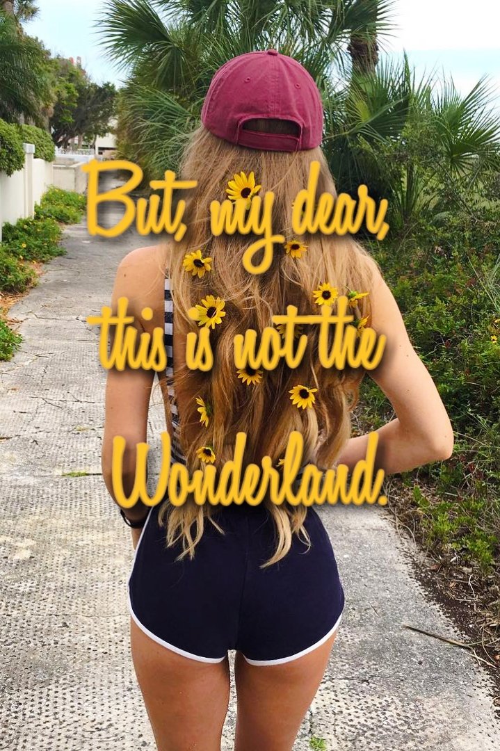 WallpapersLocks's tweet image. 🎀Lockscreen Random🎀
🎀Fav se gostou
🎀Rt se pegou (seja honesto, você não vai morrer)
🎀Pedidos na dm