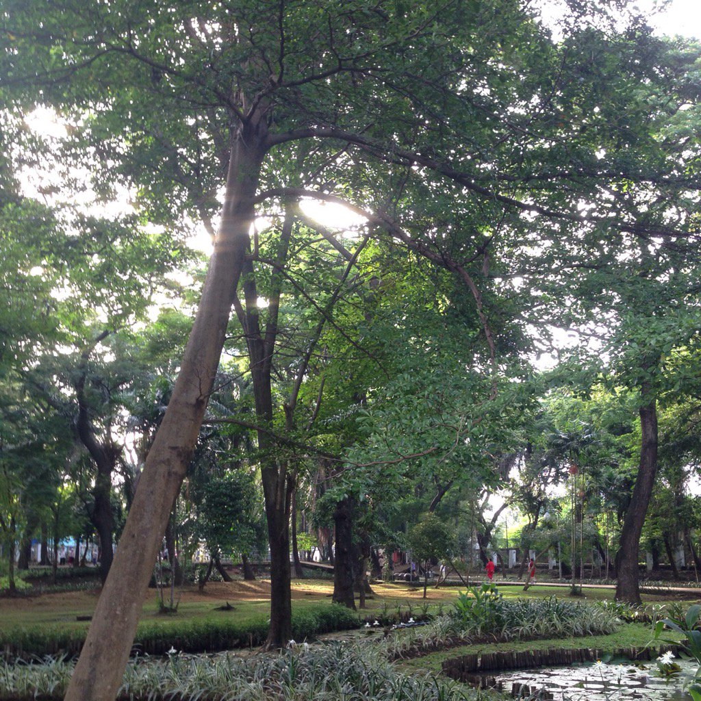 Reza Pahlevi tweet media