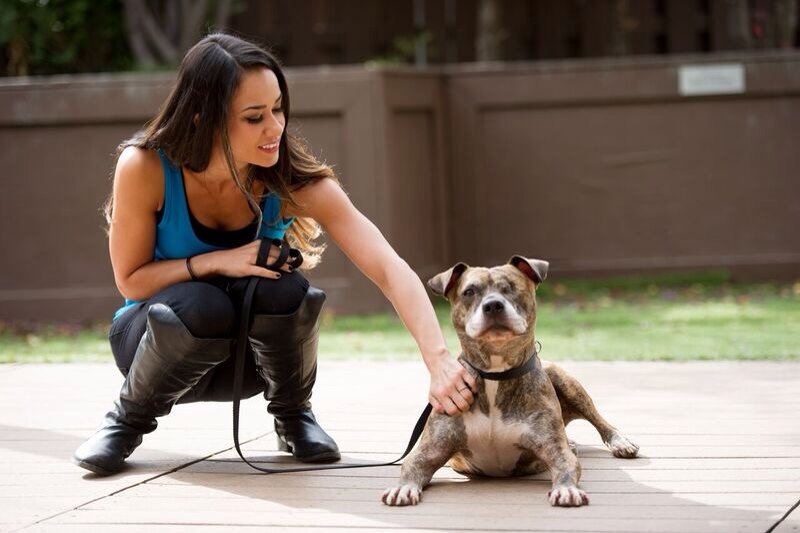 TravisJonesWWE's tweet photo. Lady @AJBrooks's love for doggies is just to adorable #RT if u agree #TeamAJ #WeLoveAJ #AJFansForEver #RAW @WWE https://t.co/64GhbPFSUJ