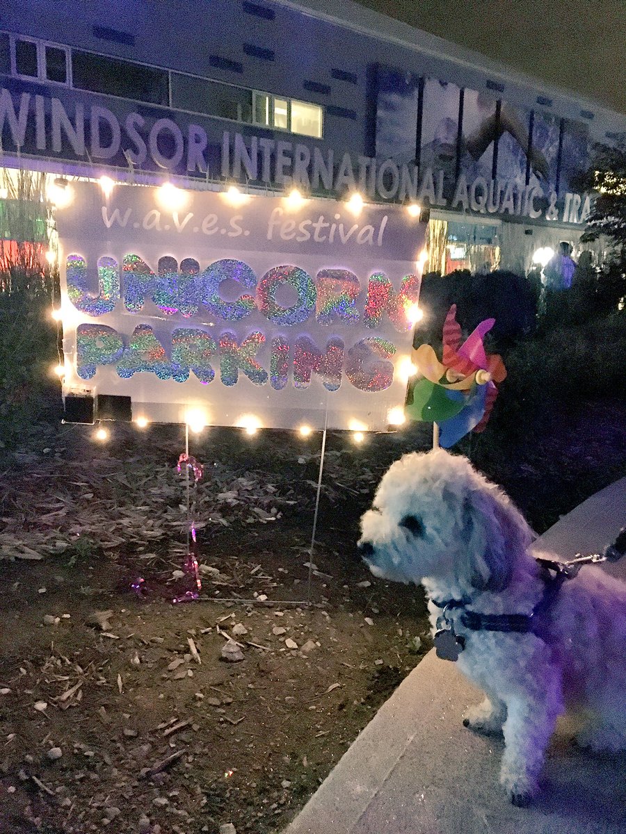 EyesOnWindsor's tweet photo. Hi @lisaxingCBC Glad to hear @OntarioStacey's #waves2016 pic will be on @CBCWindsor's 6pm news today #CBCeyes #YQG https://t.co/4faTv6Bdvb
