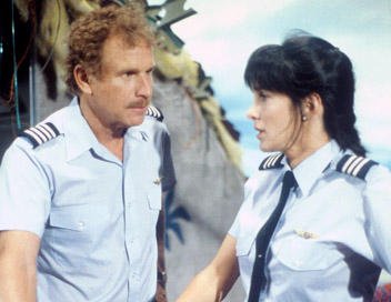 泰安洋行 奇跡の243便 年のアロハ航空243便事故 を映画化した作品 機体外壁破損という最悪な状況下で着陸に尽力する機長や乗員を描く 壮絶な事故の様子に加え 彼らの奮闘ぶりは感動を呼ぶ 軍出身の機長等 ハドソン川 と共通点も多く 同作を好きな