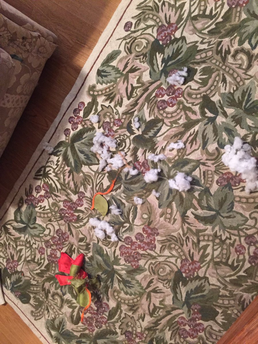 derpydogVT's tweet image. Death to toys! New record: 3 minutes. #whatelseyougot #dogsthatdestroy