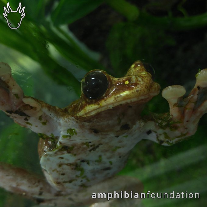 Ver imagem no Twitter Ver imagem no Twitter