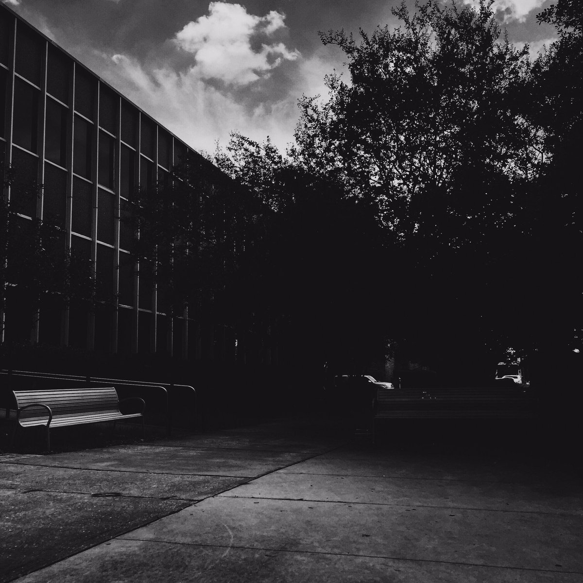 MYGMedia's tweet photo. "through the daily walks."
#iphonechronicles https://t.co/KtwflBHSLM
