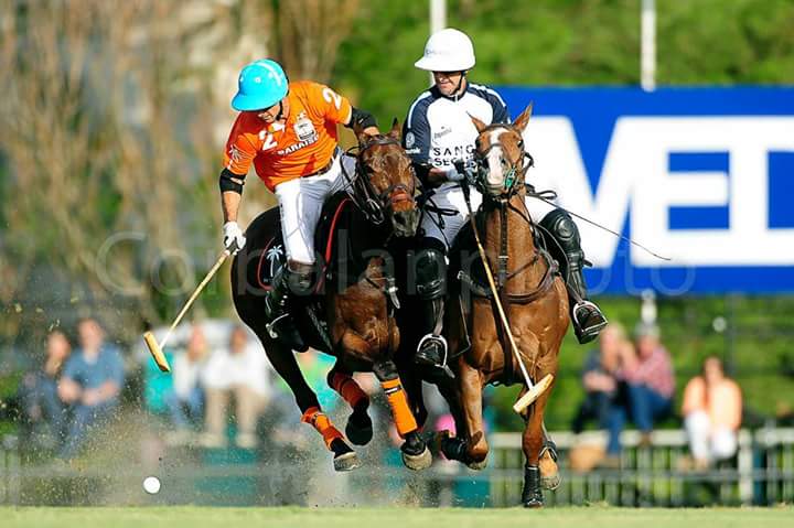 NachoCorbalan's tweet photo. #Polo https://t.co/ywGs8THqVE