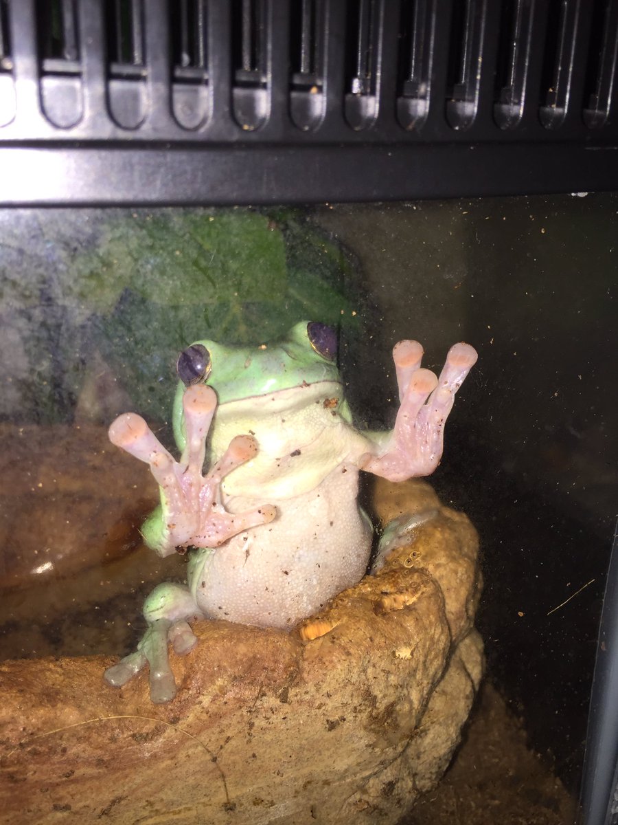 binguses's tweet image. i wonder what he's thinkin about...