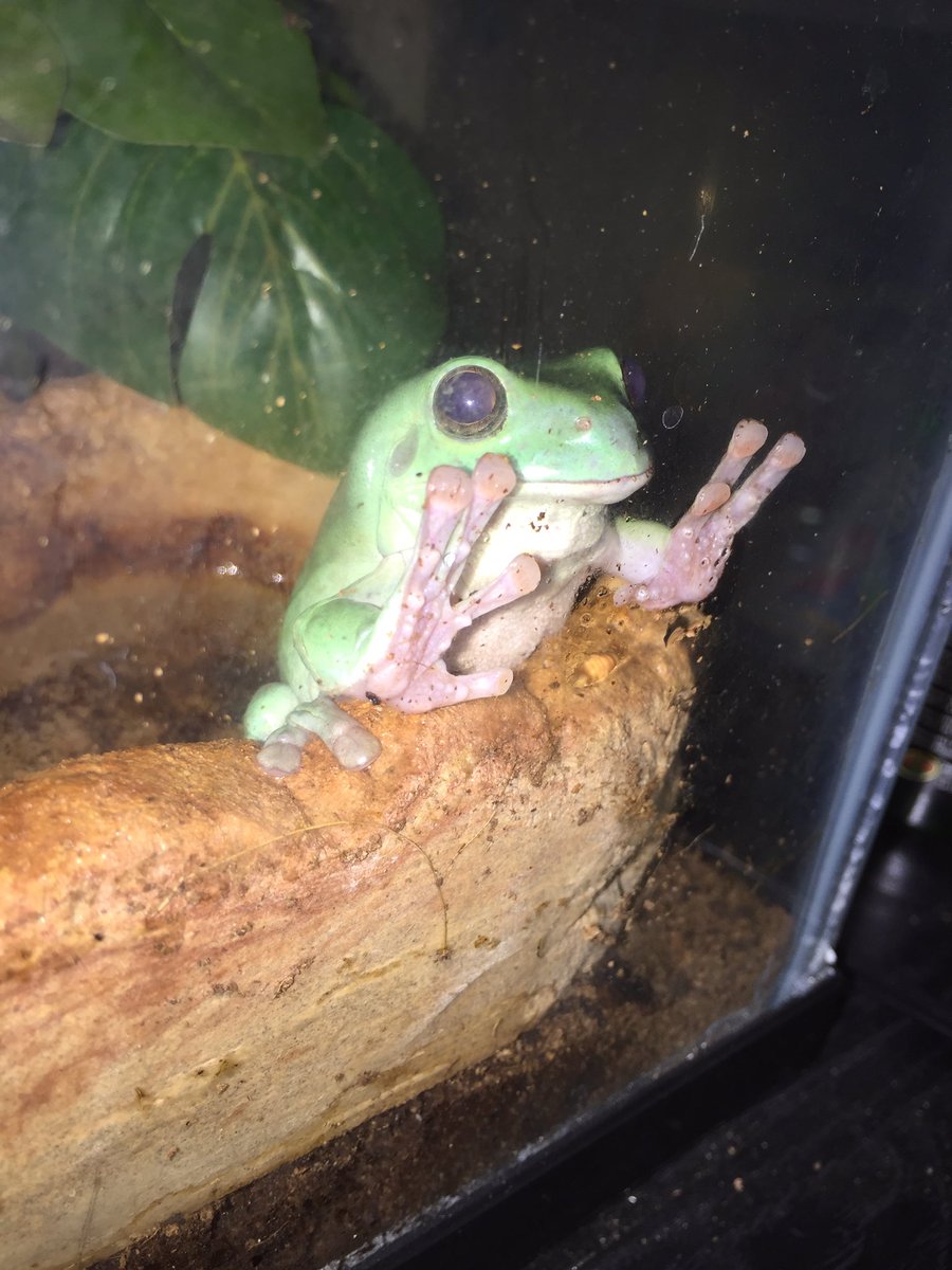 binguses's tweet image. i wonder what he's thinkin about...