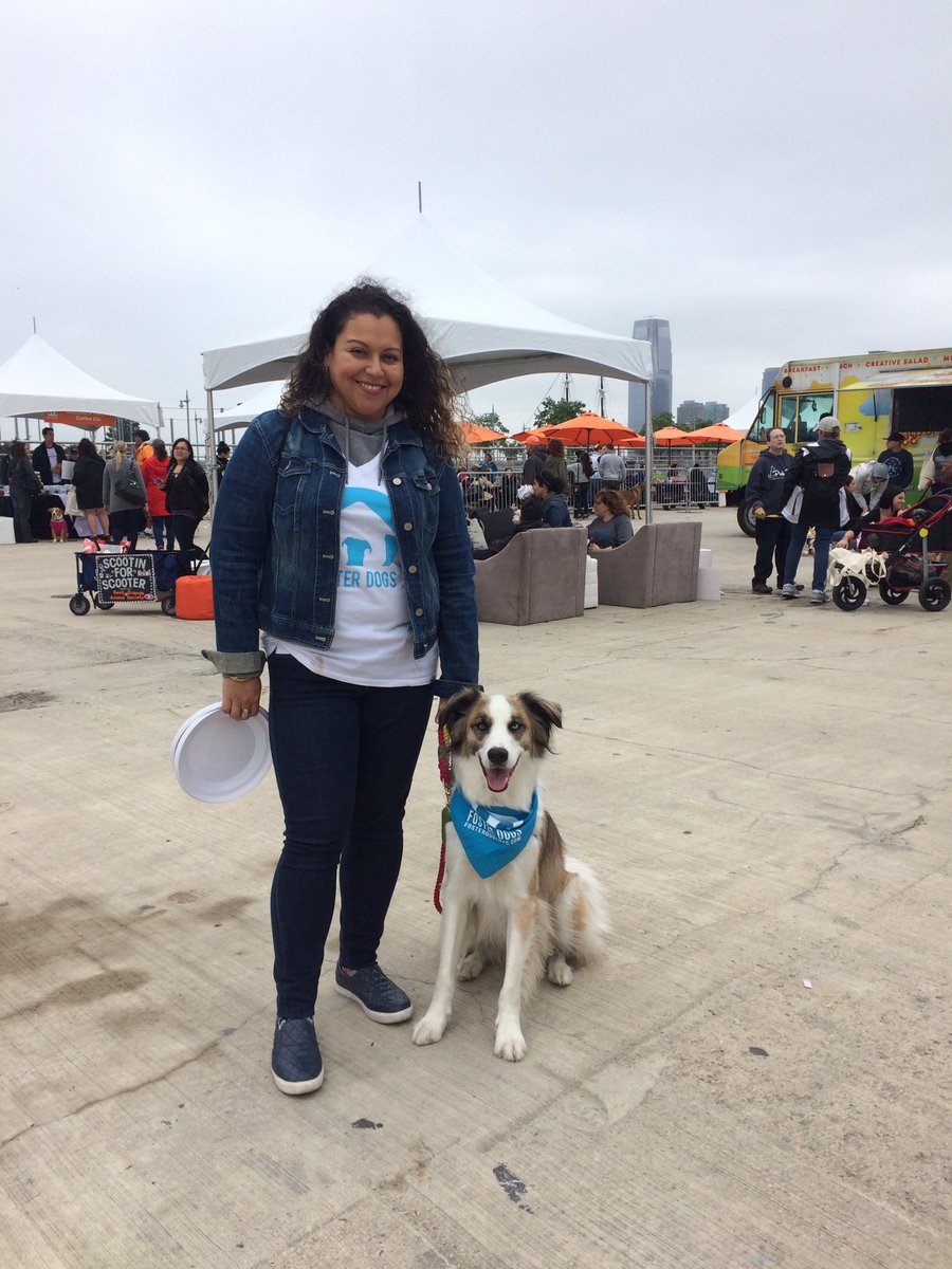 Foster_Dogs's tweet image. Fun day at #strutyourmutt! @bestfriends @FosterDogsNYC