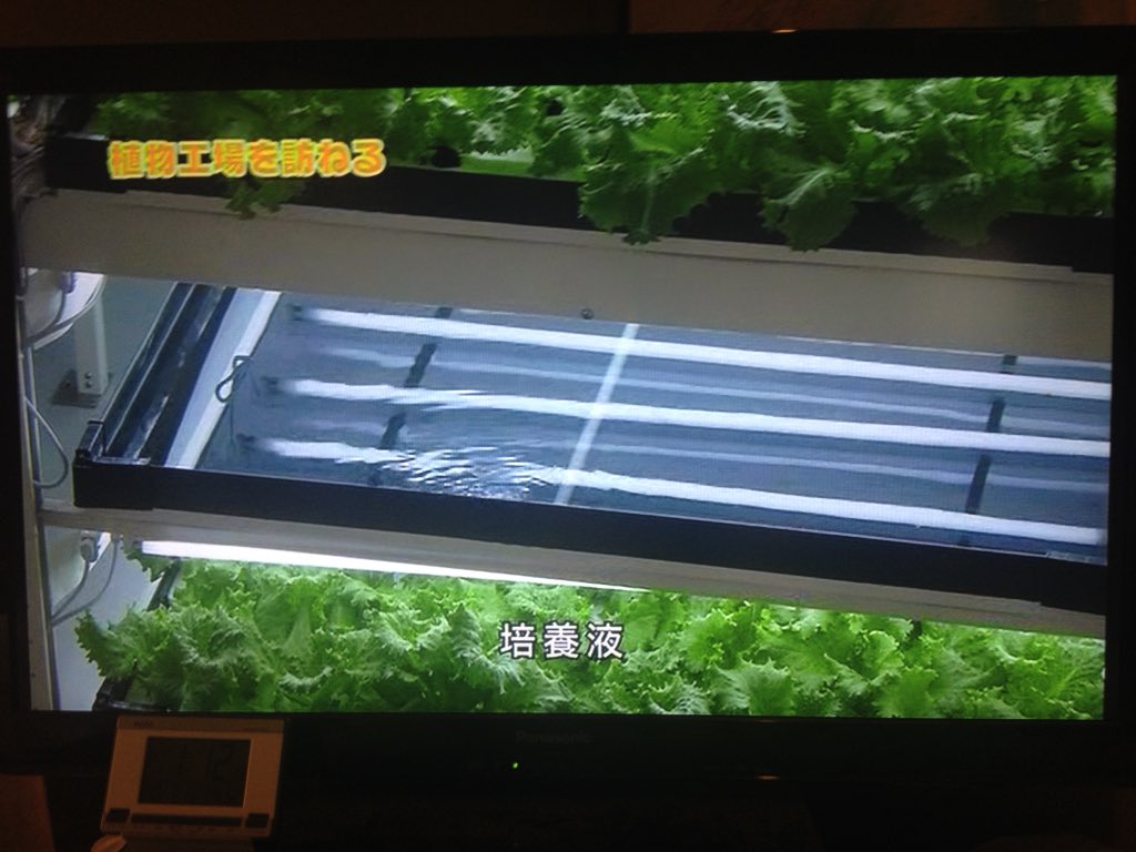Kegasa nhk高校講座 生物基礎 生物学と人類の未来 植物工場 光 温度 二酸化炭素濃度 栄養分など 光合成には 二酸化炭素co2 光の他に 水h2oが必要なのに何故 など と省略 地球温暖化では逆にh2oを無視してco2だけ考慮と同じ Kegasa nhk高校講座 生物基礎 生物学と人類の未来 植物工場 光 温度 二酸化炭素濃度 栄養分など 光合成には 二酸化炭素co2 光の他に 水h2oが必要なのに何故 など と省略 地球温暖化では逆にh2oを無視してco2だけ考慮と同じ