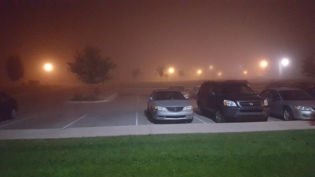 AlexKalil's tweet photo. Half expecting something to come shambling out of the fog. I am watching for you, you undead pricks! #ZombieWeather https://t.co/VAXRBhNFVa