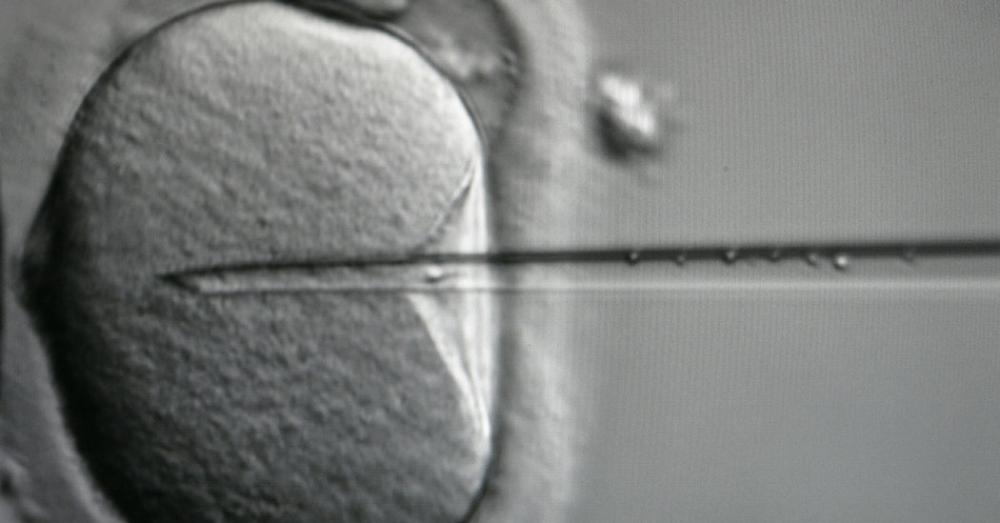 scienceanglr's tweet photo. #Birth of ‘#3Parent Baby’ a Success for Controversial #Procedure https://t.co/EUsNsTcrmH https://t.co/yd4ifTNZZg