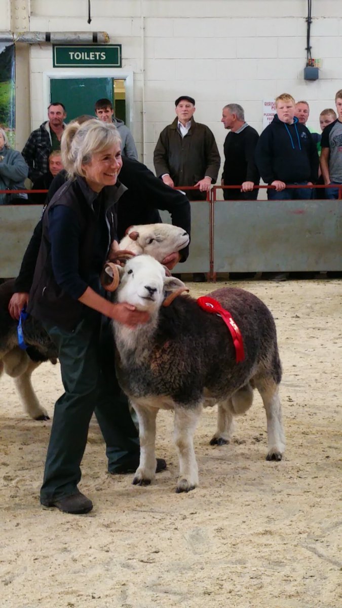 KimmySHill's tweet photo. A day to remember @EweSue #cockermouthauction #firstprize #shearlingtup #herdwick #reservechampion #smiling #proud https://t.co/lIjmwmyI41