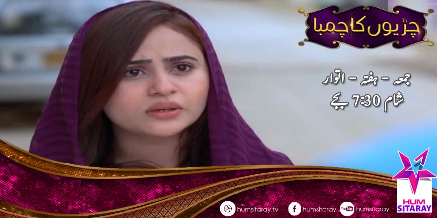 CHIRRIYON KA CHAMBA Episode 27
Watch Tonight at 7:30 PM
#HUMSITARAY #Pakistan