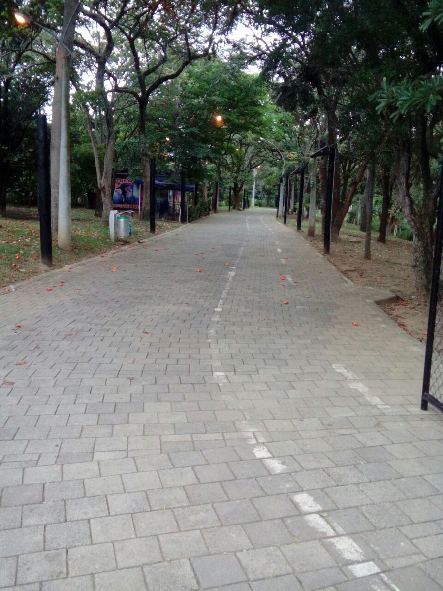 Emvarias's tweet photo. Así amanece el Parque Norte después de nuestra labor de aseo en el #BreakfestCO2016, impecable. https://t.co/VJ8Jbh0cEN
